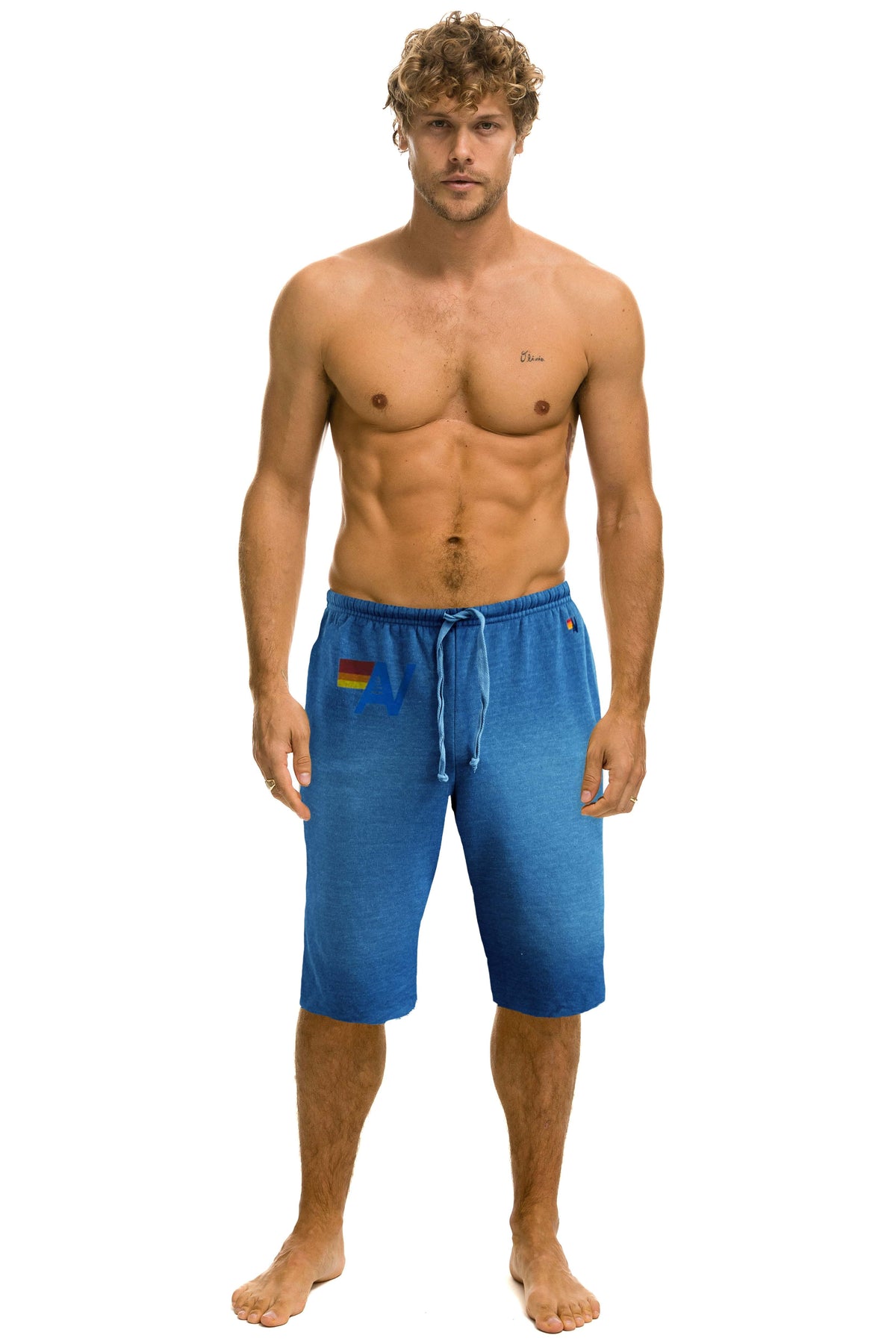 VINTAGE LOGO MENS SWEATSHORTS - FADED WATER